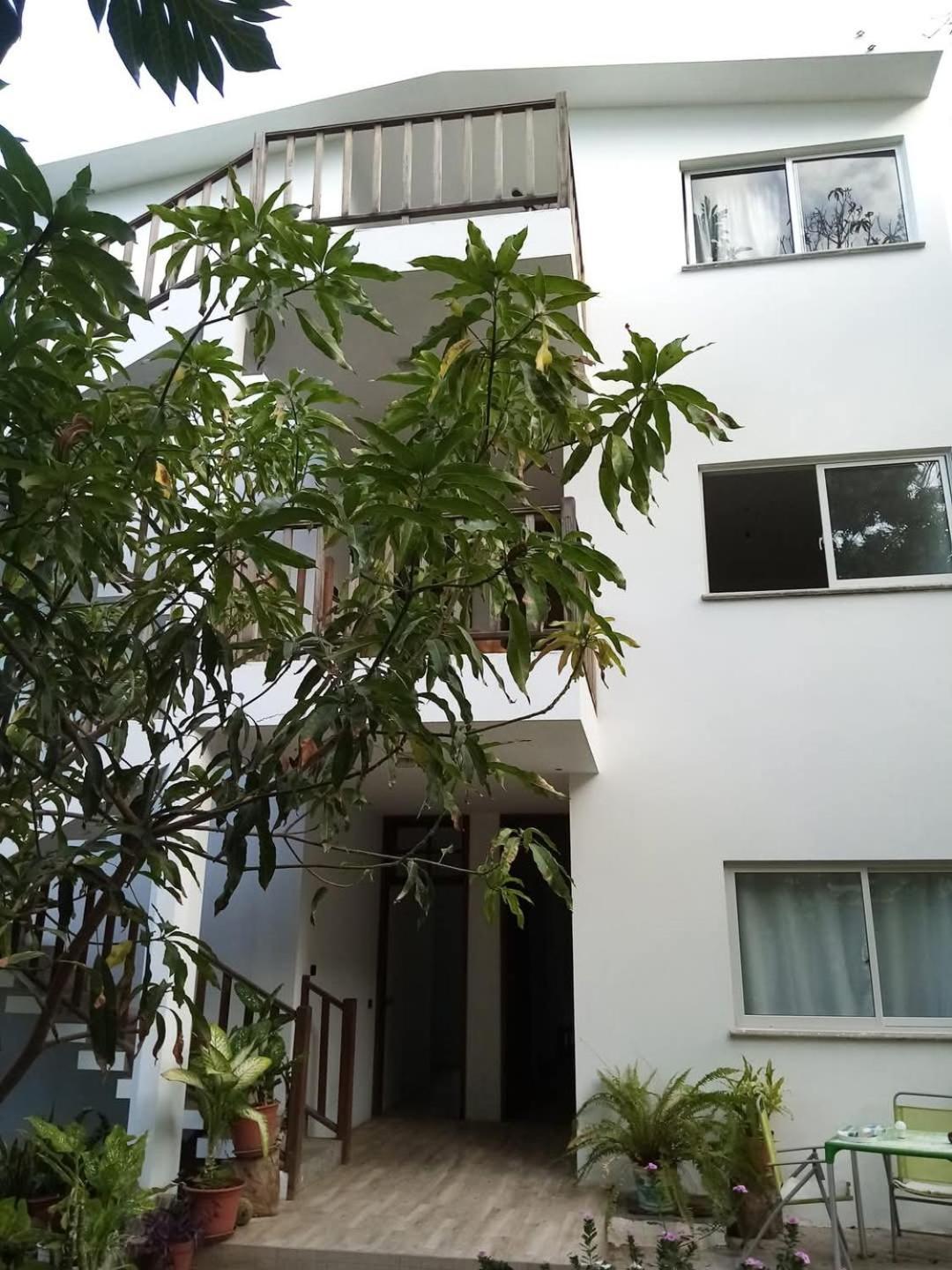 Oasis Paul Residencial Hotell Rum bild